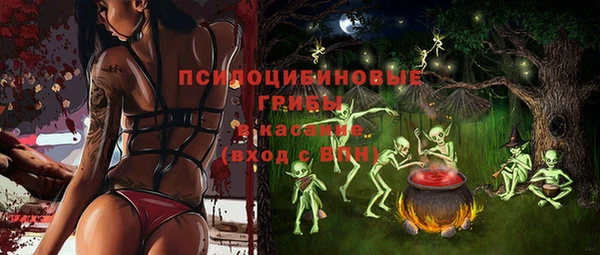 каннабис Богородицк