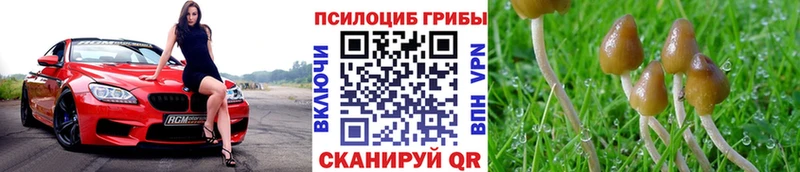 Галлюциногенные грибы прущие грибы  Костомукша 